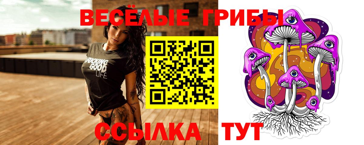 Псилоцибиновые грибы Psilocybine cubensis  Вход с VPN  Балабаново 